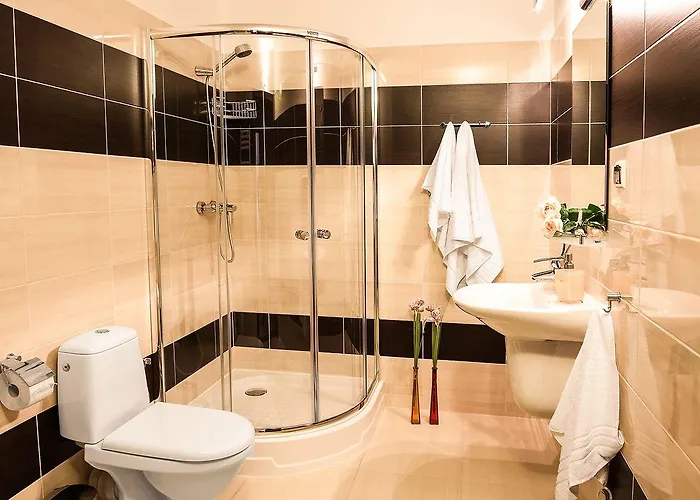 公寓式酒店 城市公寓酒店 什切青